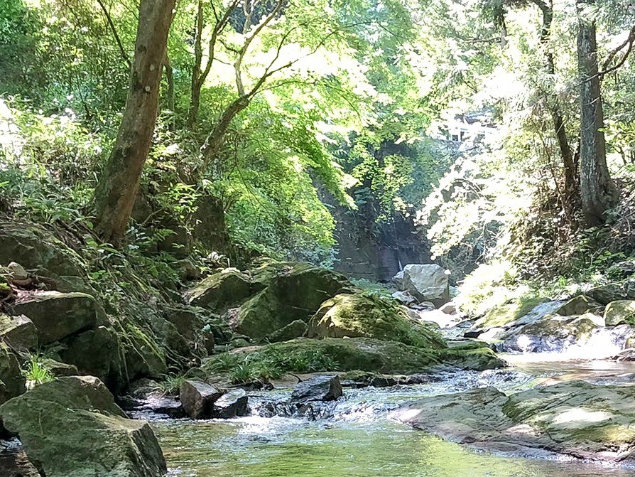 自然アクティビティ  