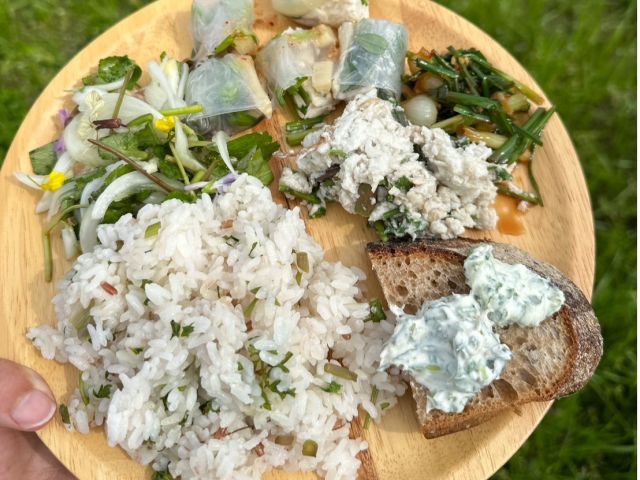 キトラの谷の摘み草・山菜お料理会