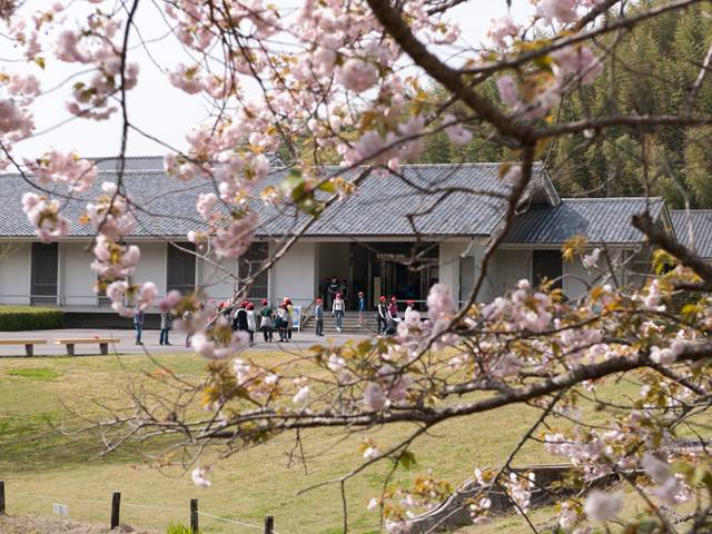 奈良文化財研究所 飛鳥資料館