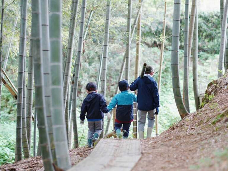 竹キャンドルに、竹製流しそうめん。 ～伐採からDIYまで満喫する”竹づくし”の旅～