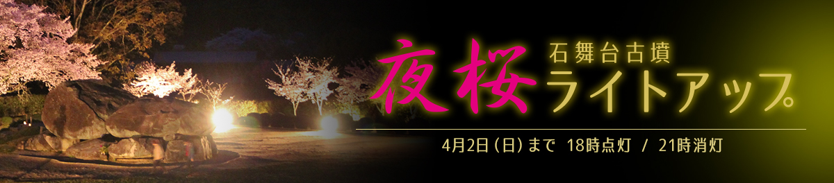 石舞台古墳夜桜ライトアップ 2023