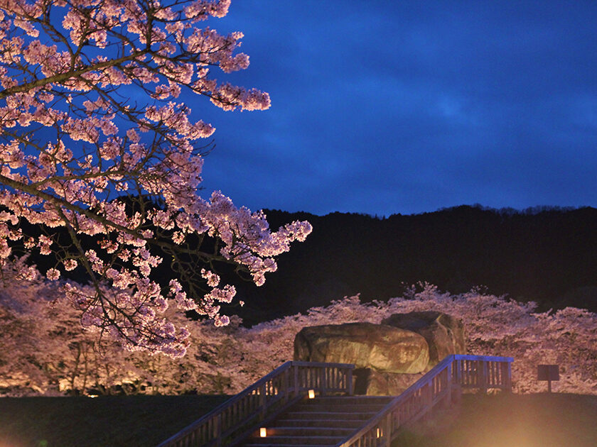 石舞台古墳　春のライトアップ2026