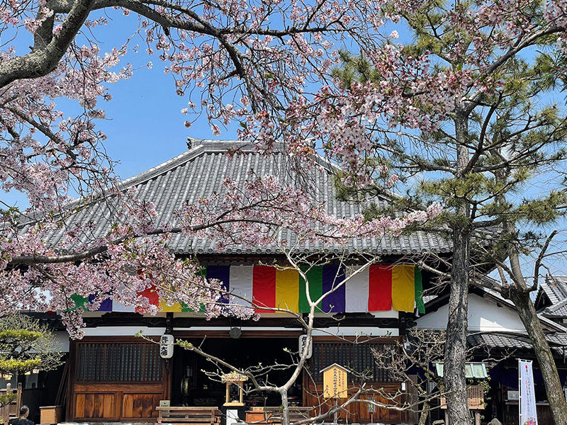 飛鳥寺「花会式」