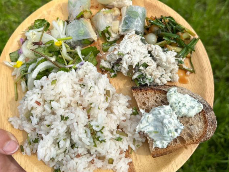 キトラの谷の摘み草・山菜お料理会